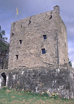 Garth Castle