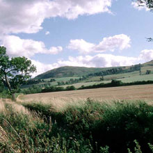 Battle of Homildon Hill