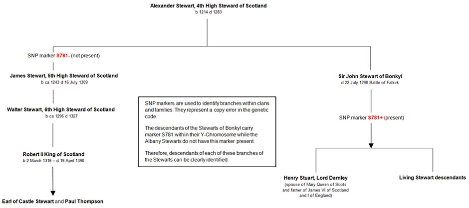 Mary Queen Of Scots Lineage Chart